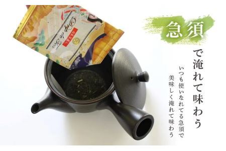 日本茶美人 一煎パック ｢ 深蒸し掛川茶 ｣ 3ｇ×60袋 ドリップ フィルター3 0枚付（ギフト箱入）三重大製茶 深蒸し茶 1951