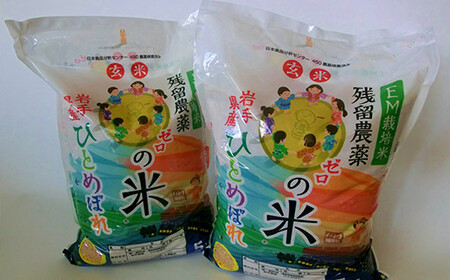 2025年産　玄米ひとめぼれ 「残留農薬０の米R」 10kg（5kg×2袋） 【718】