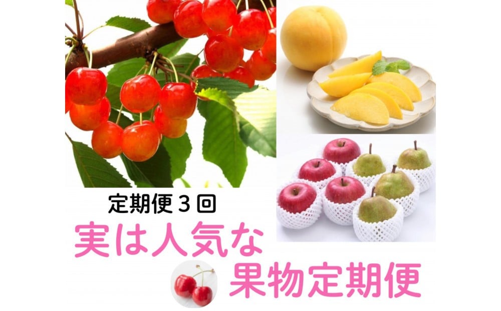 
            2026年度発送 【定期便3回】 実は人気な果物定期便
          