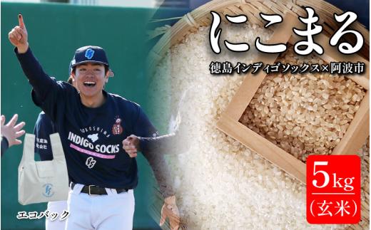 徳島 インディゴソックス グッズ エコバッグ セット お米 にこまる 5kg 玄米 野球 四国アイランドリーグ 徳島県 阿波市