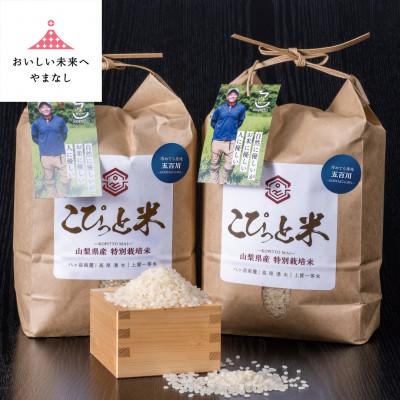 ふるさと納税 山梨県 冷めても美味しい!【令和8年産】こぴっと米【五百川】白米・4kg　特別栽培米