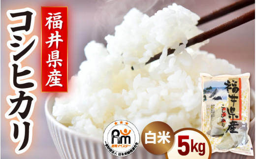 令和7年産  米 5kg 精米 コシヒカリ 福井県産《14日以内に出荷予定》【白米 5キロ こしひかり お米 ごはん 人気品種 産地直送 新生活 kome 】 [e66-a013]