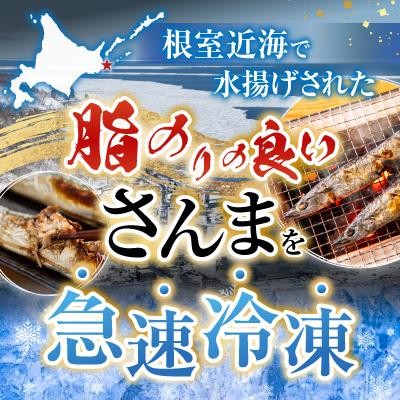 ふるさと納税 根室市 【北海道根室産】冷凍さんま60尾 D-36002 |  | 01