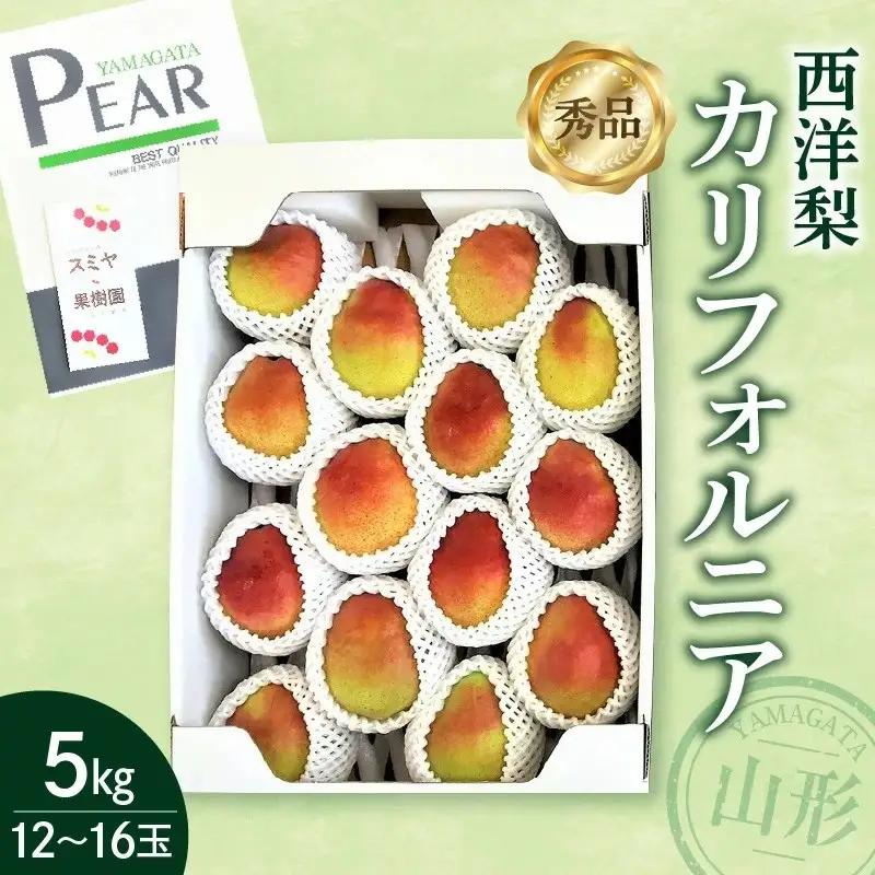 西洋梨（カリフォルニア）５ｋｇ　0047-2609