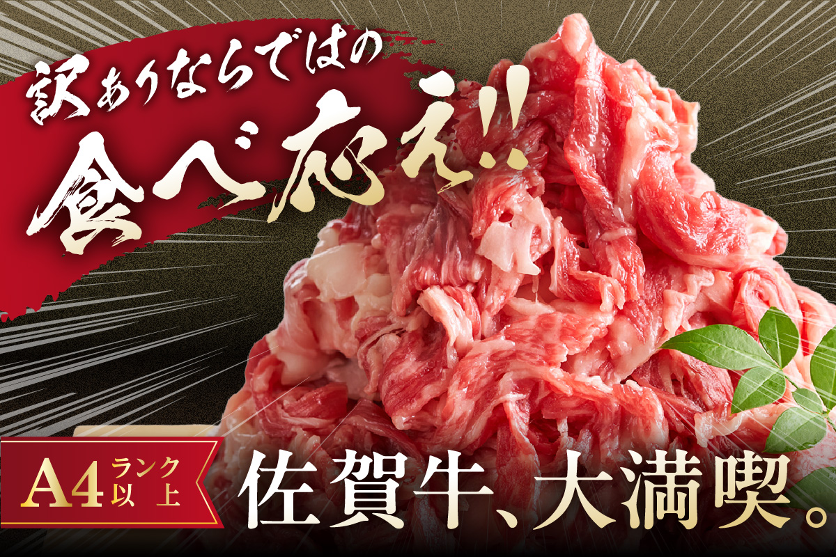 佐賀牛 訳あり 切り落とし 400g 159-J1693