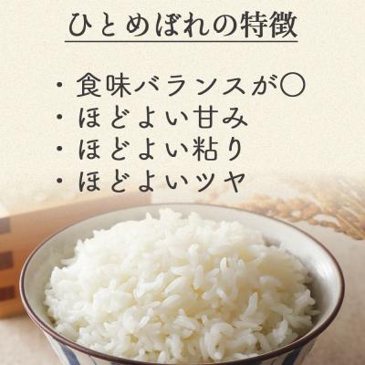 ふるさと納税 大崎市 《精米》宮城県大崎市産 特別栽培米 ひとめぼれ10kg【2025年産】 |  | 02