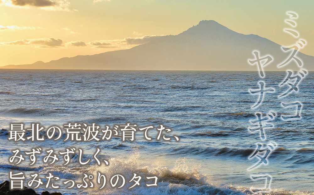 【宗谷の海味】蛸の魅力詰め合わせセット(たこしゃぶ たこザンギ)【配送不可地域：離島・沖縄県】