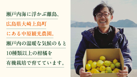 【 先行予約 】 瀬戸内 オーガニック レモン 3kg (24～30個程度) 2027年1月～2月発送