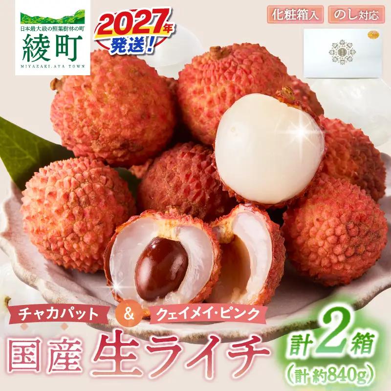 先行予約 数量限定 希少 国産 綾 生ライチ 2箱セット 2種類（化粧箱入り）果物 フルーツ くだもの 国産ライチ 2027年 トロピカルフルーツ 南国フルーツ 冷蔵 ジューシー 高級 デザート ギフト 贈り物 プレゼント ご褒美 宮崎県 送料無料【JA綾町】_A0114-2373