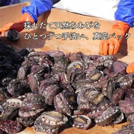 三陸小本浜産冷凍天然あわび　400g(4個入り)【配送不可地域：離島】【1717033】