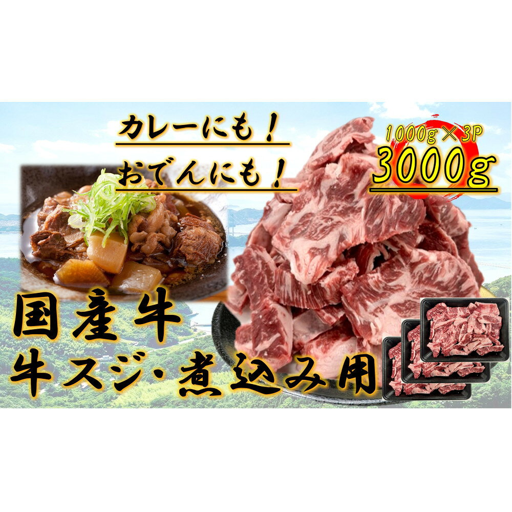 【ふるさと納税】国産牛　スジ　3kg | 肉 お肉 にく 牛肉 すじ肉 スジ肉 スジ すじ 国産 国産牛 食品 人気 おすすめ 送料無料 ギフト