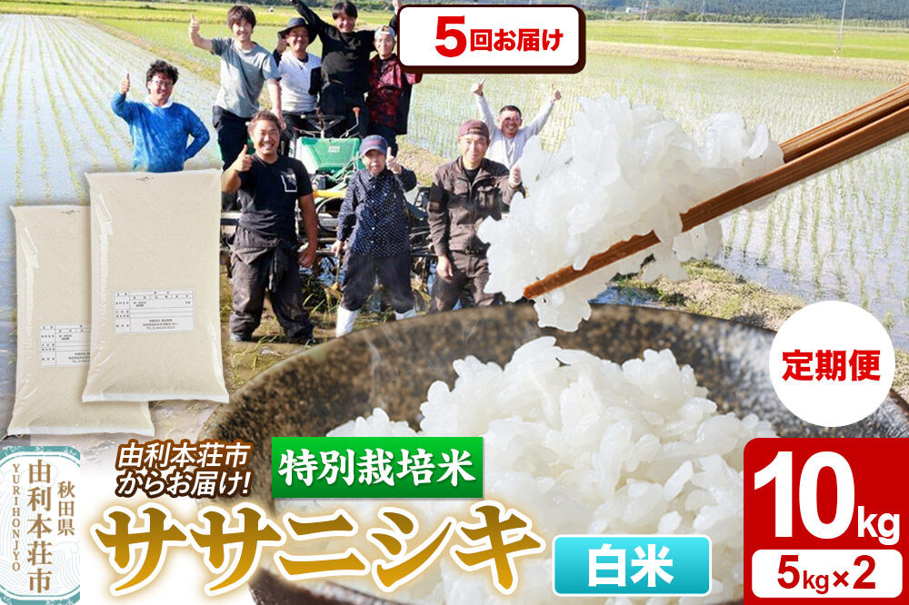 《定期便5ヶ月》令和7年産【白米】特別栽培米 ササニシキ 10kg（5kg×2袋） 秋田県産 [ササニシキ 米 お米 白米 精米 特別栽培米 ブランド米 食卓 秋田県産 秋田県 由利本荘市]
