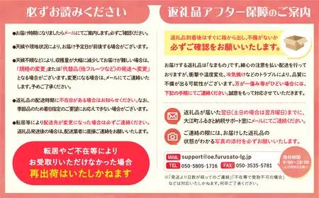 《先行受付》贈答規格「サンふじ」「ラフランス」「はるか」約5kg詰合せ（特秀～秀）【2026年12月上旬～発送予定】【大江町産・山形りんご・りんご専科 清野】 015-065