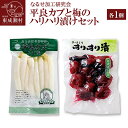 【ふるさと納税】平良カブ麹漬（200g）梅のハリハリ漬け（150g）セット 各1個