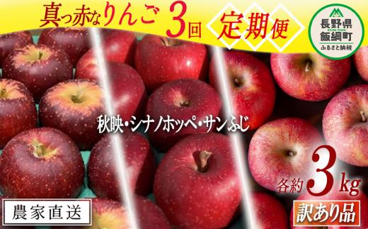 旬の赤いりんご 【 定期便 】 訳あり 3kg × 3回 ( 秋映 シナノホッペ サンふじ ) ファームトヤ 沖縄県への配送不可 2025年10月上旬頃から2025年12月中旬頃まで順次発送予定 令和7年度収穫分 信州 果物 フルーツ リンゴ 林檎 長野 31500円 予約 農家直送 長野県 飯綱町 [1837]