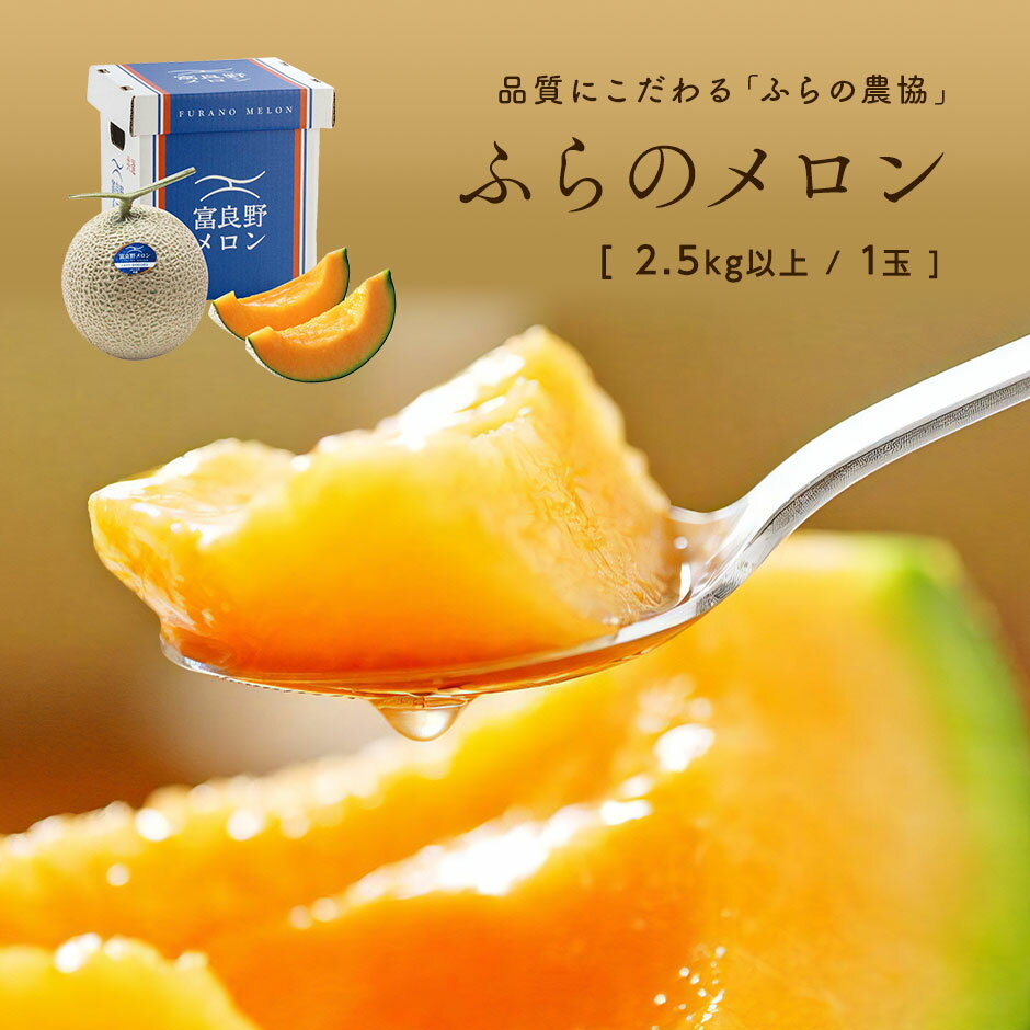 【ふるさと納税】【2025年発送】富良野メロン　1玉～5玉