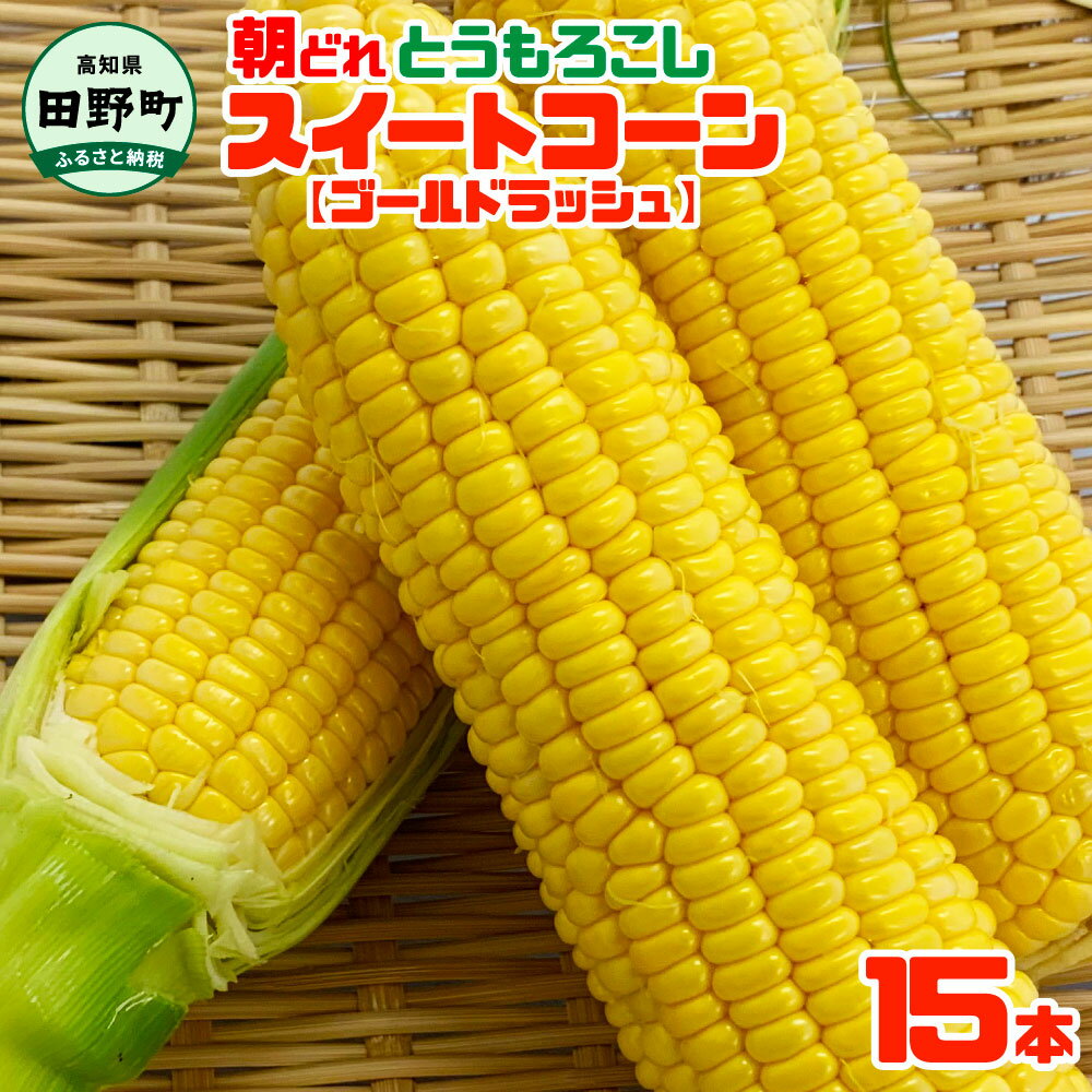 【ふるさと納税】～四国一小さなまちのとうもろこし～★2025年6月上旬頃発送開始予定★ とうもろこし スイートコーン ゴールドラッシュ 15本 数量限定 朝どれ 新鮮 甘い 野菜 産地直送 国産 冷蔵 配送 高知県 ふるさとのうぜい 故郷納税 返礼品 田野町 12500円