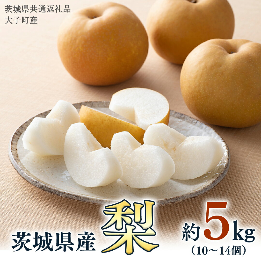 【ふるさと納税】＼ 化粧箱対応 ／ 梨 5kg（10〜14個）【2025年8月より発送開始】（茨城県共通返礼品 [梨]：大子町産） なし ナシ 果物 フルーツ 茨城県産 なし ナシ 果物 フルーツ 茨城県産