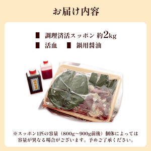 【8月お届け】綾部で育てた！！スッポン鍋 2kg  （4～5人前） すっぽん 鍋