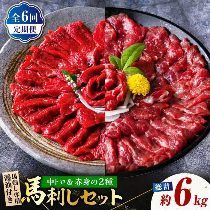 【6回定期便】赤身 & 霜降りの「2種食べ比べセット 」 (赤身 約50g×10パック 中トロ 約50g×10パック) 計1kg 国産 馬刺し赤身 国内肥育 霜降り中トロ 約1キロ たっぷり 熊本 ばさし バサシ 冷凍 パック 小分け 【株式会社 利他フーズ】[ZBK023]