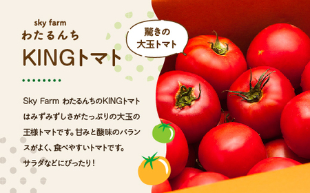 KINGトマト・プチぷよトマトジュース 2本セット 【11218-0892】