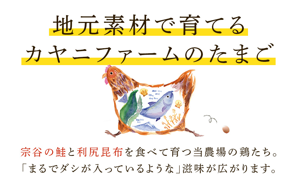 宗谷のしおかぜたまご30個入(10個入×3ケース)