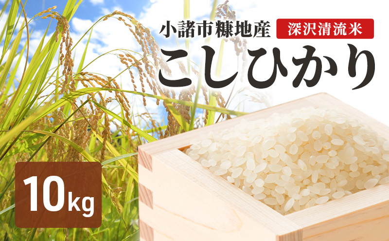 小諸市糠地産こしひかり「深沢清流米」10kg　長野 信州 コシヒカリ 精米 美味しいお米 お取り寄せ おこめ 白米
