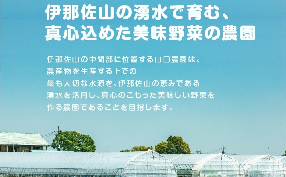 農家のたっぷり野菜カレー 10個／ふるさと納税 レトルトカレー 詰め合わせ 無添加 ギフト 10食 野菜 ふるさと 有機野菜 オーガニック 飯 簡単 時短 保存食 奈良県 宇陀市 山口農園