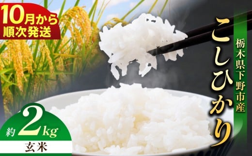 【先行予約】【2026年10月以降発送】下野市産 コシヒカリ 2kg 玄米 | お米 こめ コメ こしひかり ｺｼﾋｶﾘ 新米 栃木米 令和8年度米 令和8年 2026年度 ブランド米 栃木県 特産品 送料無料 栃木県 下野市