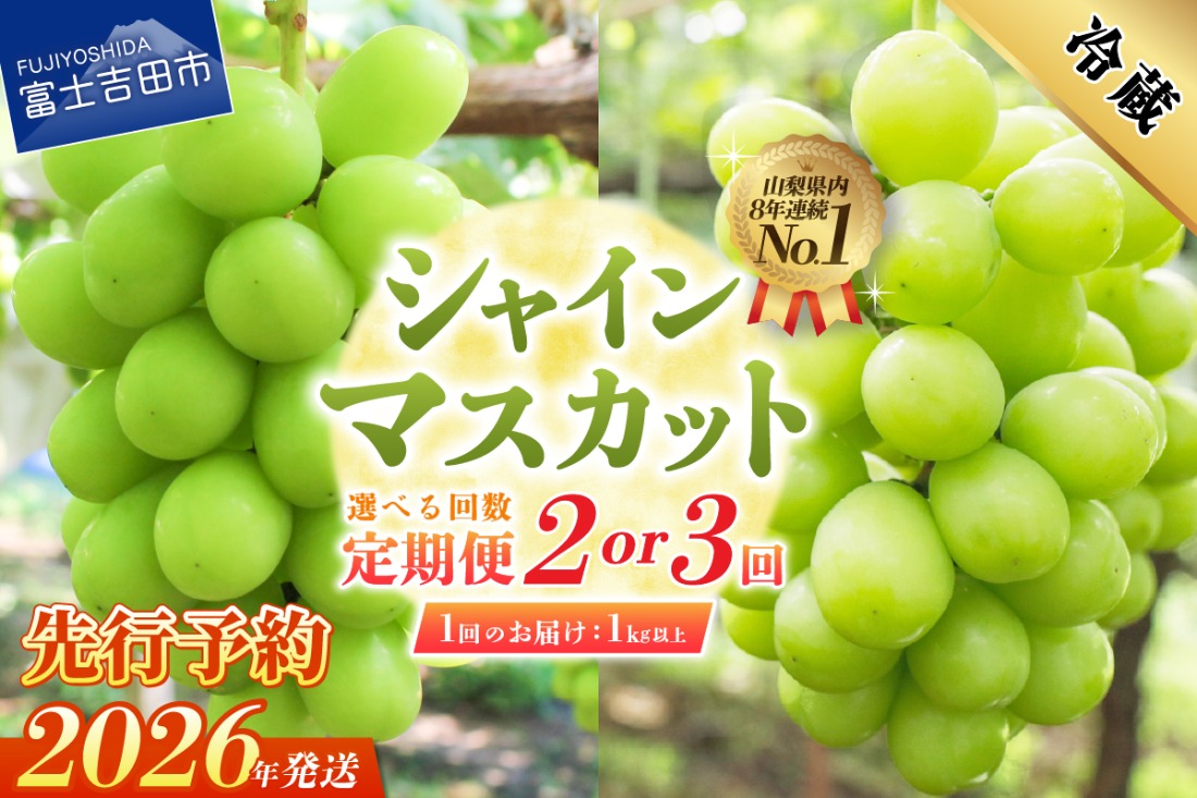 【2026年発送 先行予約】【選べる定期便】 ジューシーで甘さ抜群 厳選シャインマスカット1kg以上 2回 3回 シャインマスカット ぶどう 果物 フルーツ 旬 山梨県 2026年 山梨 富士吉田市