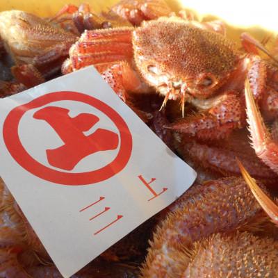 ふるさと納税 宮古市 三陸宮古産　活毛ガニ　300g〜350g×2杯 |  | 01