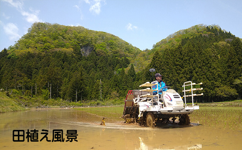 【令和7年産新米】【6ヶ月定期便】宮城県岩沼市産 志賀沢米 ひとめぼれ 精米2kg