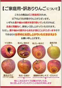 【2025年先行予約】りんご 訳あり サンふじ 約10kg | りんご 信州産 長野県 千曲市