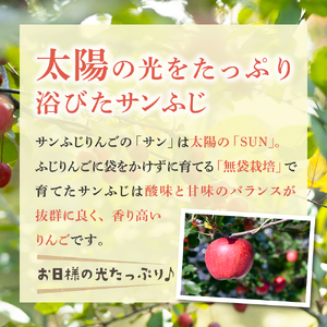 りんご　サンふじ約3kg丸福【2月後半発送】光センサー選果糖度13度以上青森りんごリンゴサンふじりんご五所川原りんご林檎サンフジリンゴ