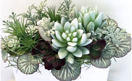 【ギフト用】美流渡の森 アーティフィシャルフラワー・アレンジメント 多肉植物 横長アレンジメント(シルバー)【12058】