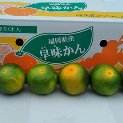 【宇美】福岡限定!オリジナルブランドみかん「早味かん」約2kg【配送不可地域：離島】