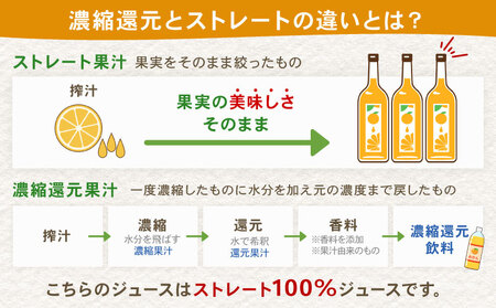 愛果28号 ジュース 720ml × 2本 セット 元気や ジュース H010-176008