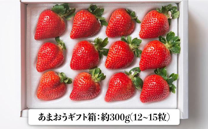 【12月上旬より発送】福岡産 あまおう ギフト箱（12-15粒）＜南国フルーツ株式会社＞那珂川市 [GCD013]