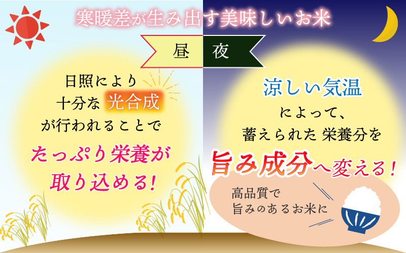 【先行予約】白山の恵み 令和8年産 コシヒカリ玄米（10kg）※2026年10月上旬以降順次発送予定 [A-009012]