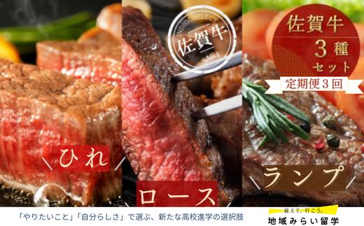 
            【定期便セット】佐賀牛ステーキ3種セット×3回(ひれ・ロース・ランプ)
          