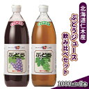 【ふるさと納税】北海道仁木産ぶどうジュース飲み比べセット（キャンベルス、ナイヤガラ）：2本　【 果汁飲料 渋み 甘み 酸味 調和 こだわり 濃厚 ストレート 】