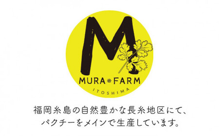 【先行予約販売】糸島産 パクチー 1kg （100g×10袋） 糸島市 / MURA FARM[AFD002]