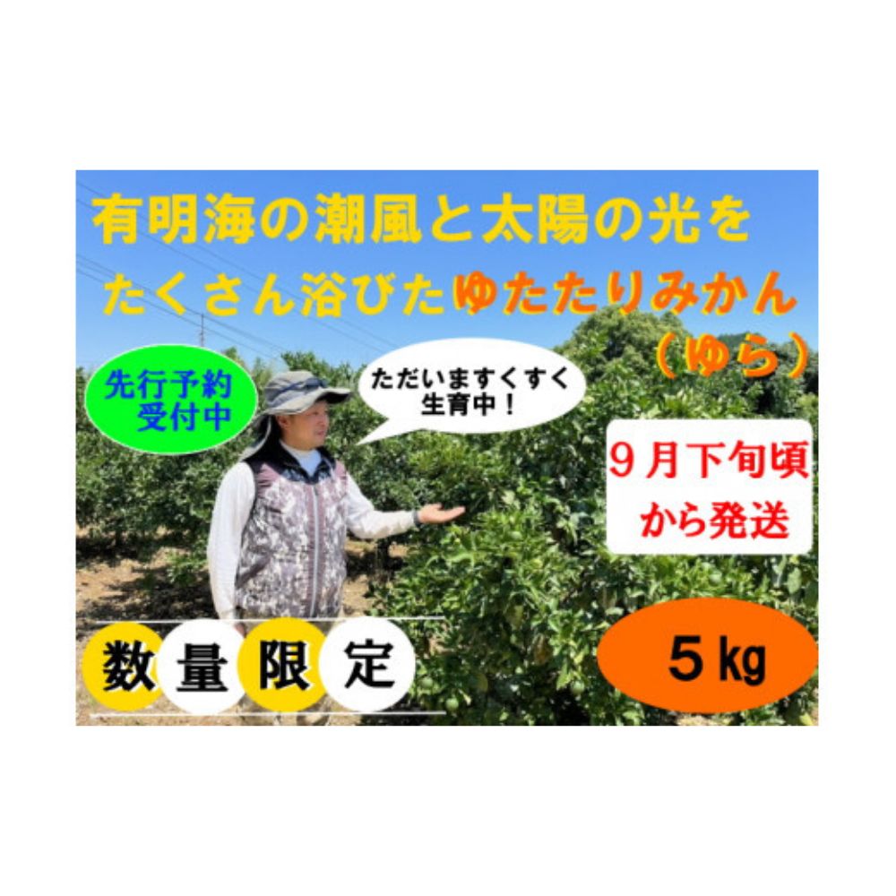 【ふるさと納税】峰農園のゆたたりみかん【ゆら】小玉 5kg 極早生温州みかん 早生温州みかん さがみかん 太良みかん 温州みかん ミカン 蜜柑 フルーツ 果物 ミネラル豊富 有明海の潮風 贈答用 お中元 お歳暮 産地直送 月の引力が見える町 太良町 ふるさと納税 返礼品 LB5