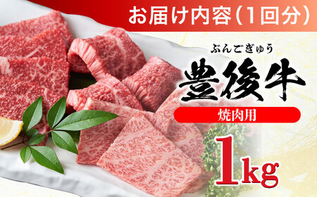 【全12回定期便】おおいた豊後牛 焼肉用 1kg(500g×2P) 日田市 / 株式会社MEAT PLUS　牛 うし 黒毛和牛 和牛 豊後牛[AREI103]