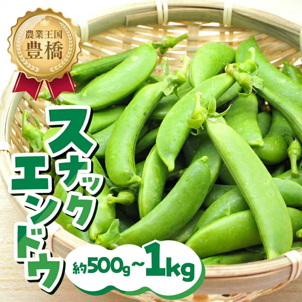 【ふるさと納税】≪先行予約≫スナックエンドウ 約 500g ~ 1kgエンドウ スナップエンドウ サラダ 野菜 料理 夕飯 おかず 栄養バランス シャキシャキ 高糖度 糖度 旬 旬の野菜 健康 愛知県 豊橋市