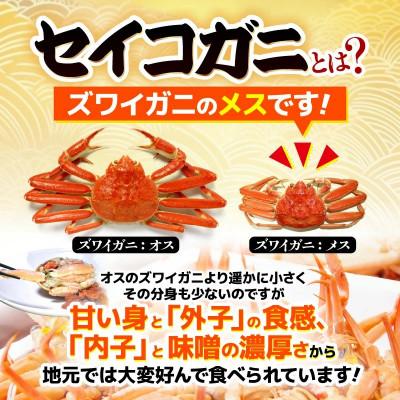 ふるさと納税 美浜町 今期とれたて茹でたてを瞬間冷凍!はるか丸が厳選【越前タグ付きセイコガニ3杯】 |  | 02