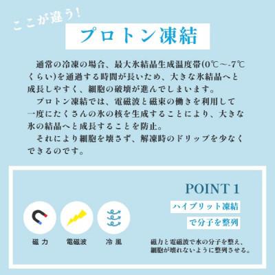 ふるさと納税 京都府 海の宝石　ちりめん海鮮丼　天然真鯛【ごま醤油漬け・だし付き】 |  | 03