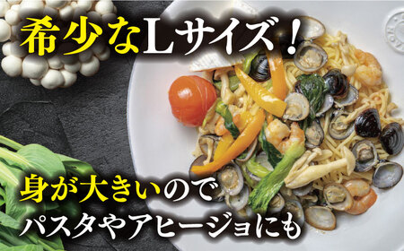 宍道湖産 冷凍大和しじみ 砂抜き済 Lサイズ 1.6kg　23010-05