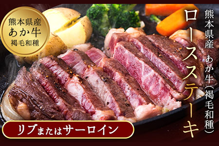 あか牛（褐毛和種）ロースステーキ (リブまたはサーロイン) 250g×2 500g 熊本県産 肉 和牛 牛肉 赤牛 あかうし リブロース サーロイン 冷凍 《30日以内に出荷予定(土日祝除く)》送料無