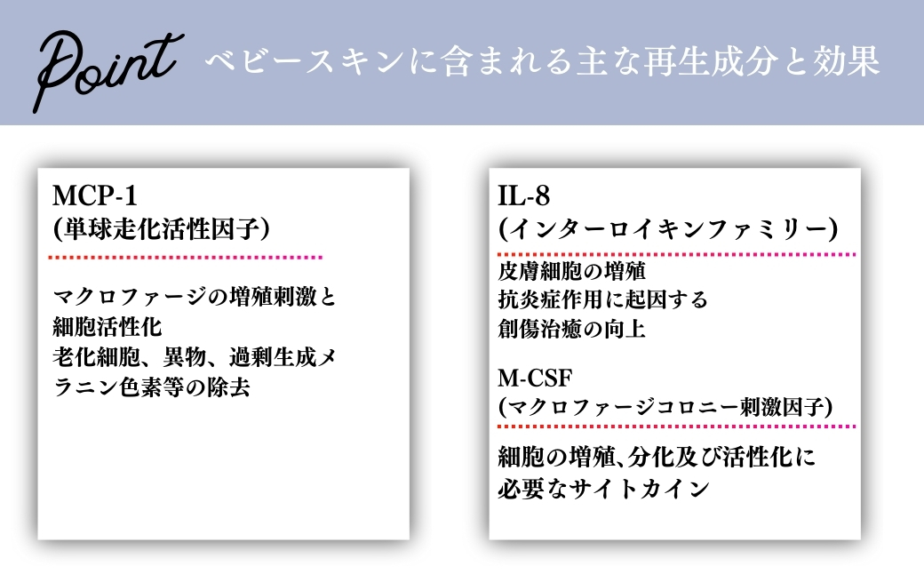 SBC ベビースキン パーフェクトリジェネレーション美容液 20ml | SBC 湘南美容 湘南美容クリニック 美容液 埼玉県 上尾市